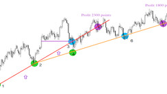 Dynamic trends on the D1 timeframe