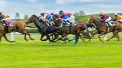 What is a crypto horse racing?