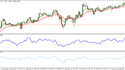 Trading strategy TMT Scalping System. Intraday scalping on the M15