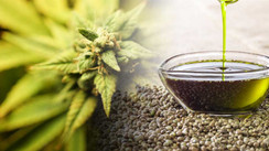 The Wonders of CBD Oil and Other Health Supplements for the Mind and Body