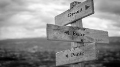 Impact of Fear and Greed on Your Trading Strategies