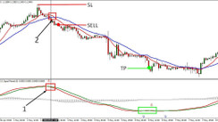 TRIX & 2MA H1 Trading Strategy – Capture the Biggest Forex Trends