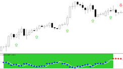 Timer Squares