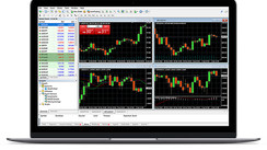 How to Open a Real Forex MetaTrader 4 Account