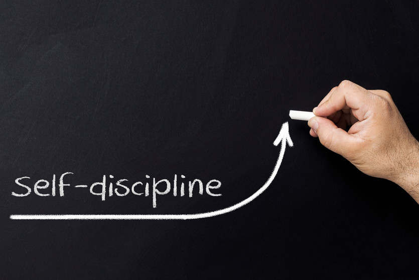 Embracing Discipline: The Path to Forex Trading Profits