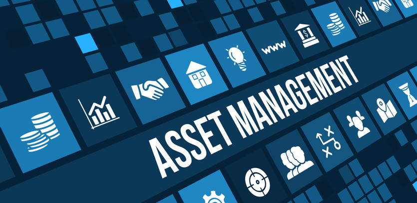 Making Sense of Money Matters: Asset Management vs Wealth Management?