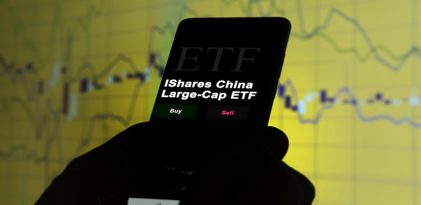 Why is Investing in Large-Cap ETFs Suitable Even for Beginners? + Top Performing Large-Cap ETFs of July