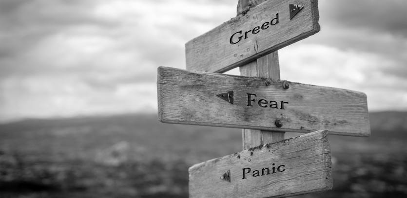 Impact of Fear and Greed on Your Trading Strategies