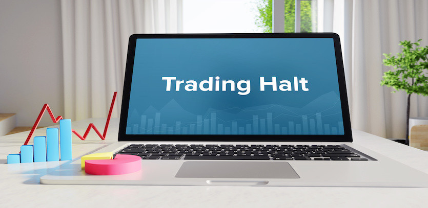 Demystifying Trading Halts: An In-depth Guide for Modern Investors