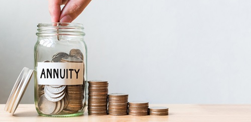 Annuity Riders: Customizing Your Annuity to Fit Your Needs