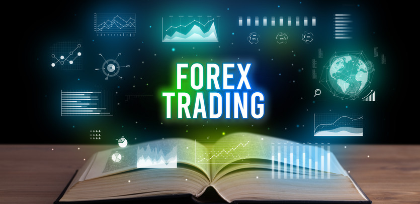 The Allure and Challenges of a Forex Trading Career