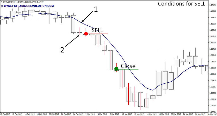 TrendLion D1 system. Long