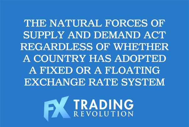 Exchange Rate Systems and Currency Valuations