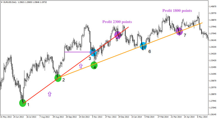 Dynamic trends on the D1 timeframe