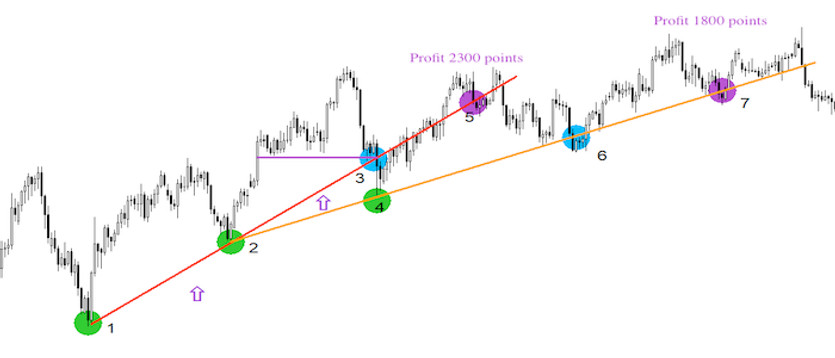 Dynamic trends on the D1 timeframe