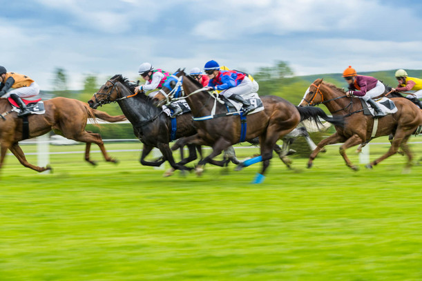 What is a crypto horse racing?