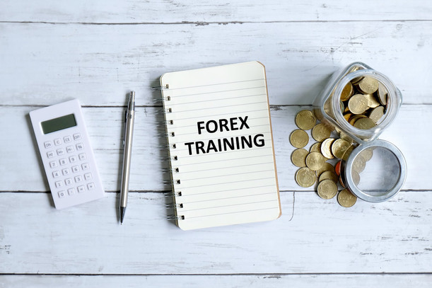 Best Day Trading Courses For FOREX Traders