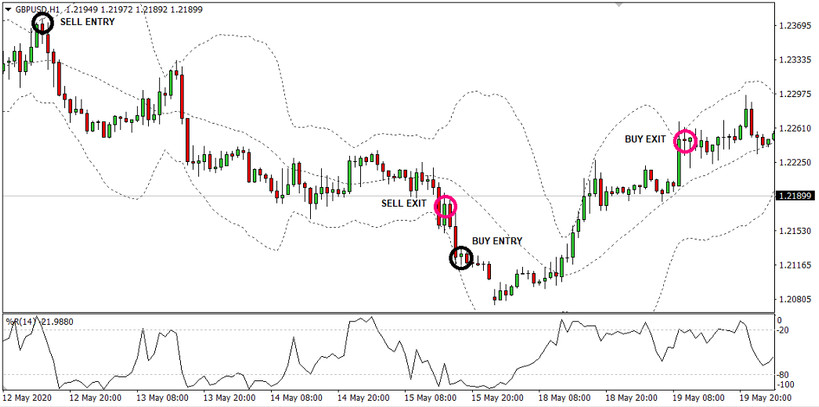 How To Trade On Momentum Using Robust William %R Trading Strategy