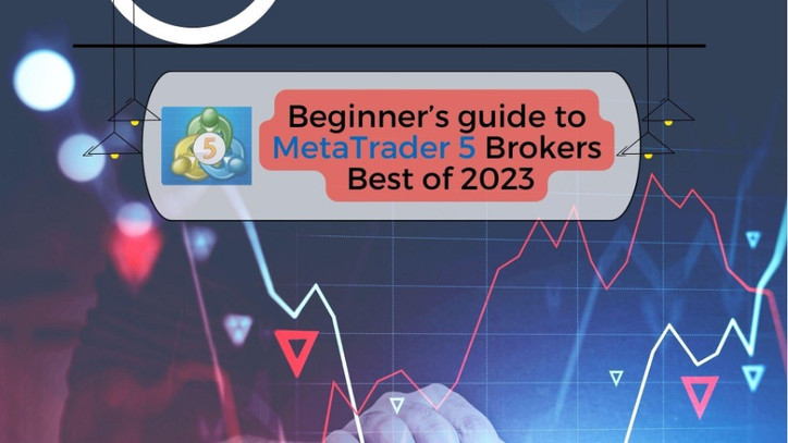 Beginner’s Guide To MetaTrader 5 Brokers - Best Of 2023