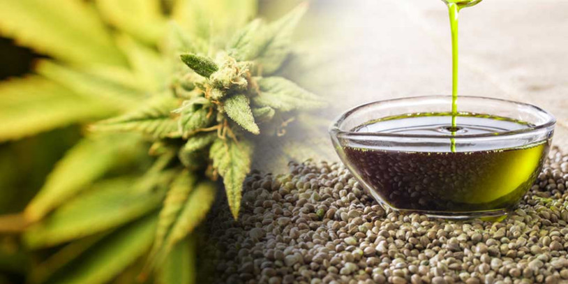 The Wonders of CBD Oil and Other Health Supplements for the Mind and Body