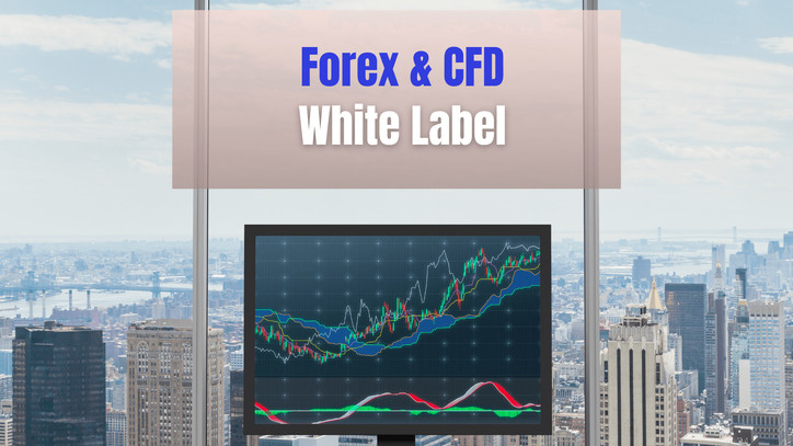 How Does Forex & CFD White Label Service Work?